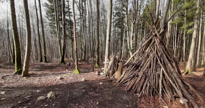 Asthütten im Wald