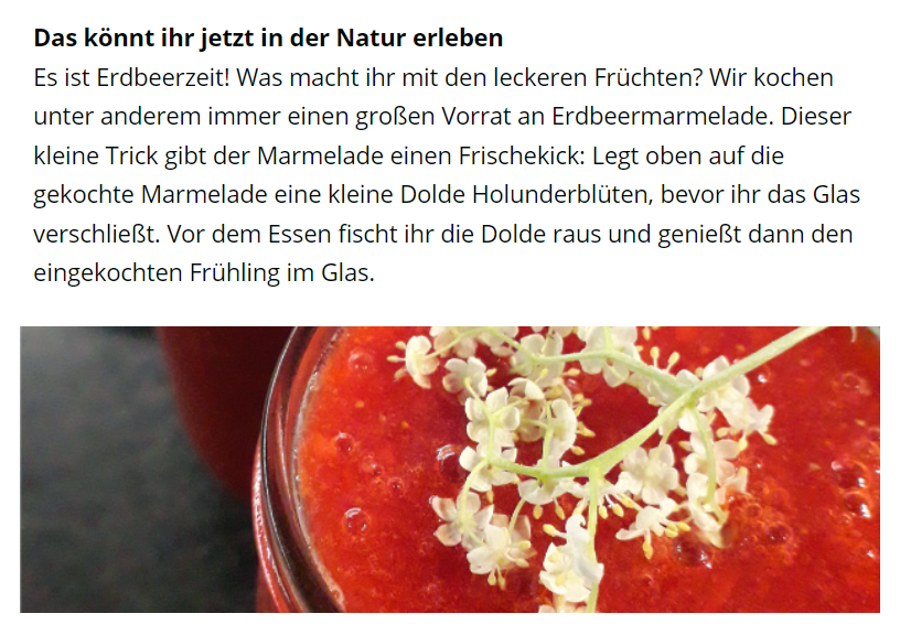Newsletterartikel_Erdbeermarmelade mit Holunder